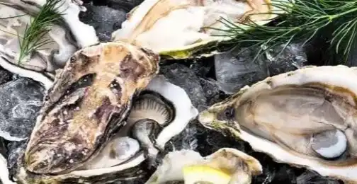 What Are the Main Bioactive Components of Oyster Peptide?